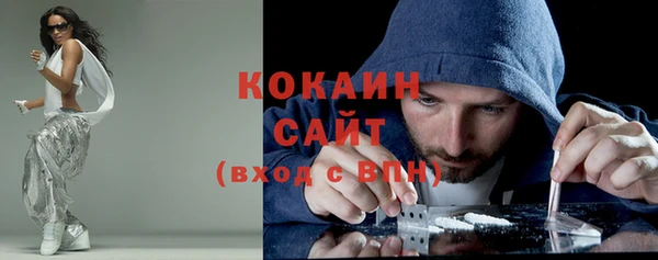 дмт Осинники