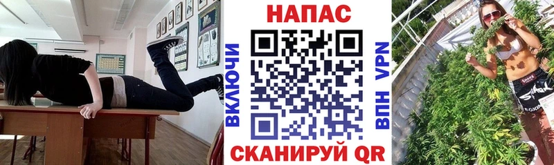 omg как войти где найти Костомукша площадка клад Бошки Шишки гибрид